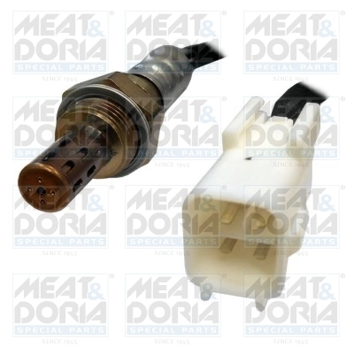 Oxygen Sensor